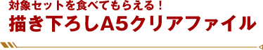 描き下ろしA5クリアファイル